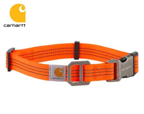 obojok pre psa carhartt dog collar hunter orange